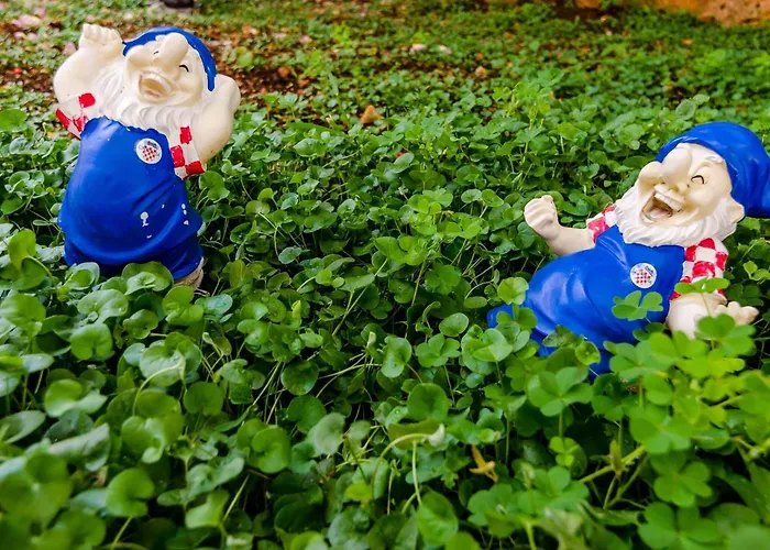 Miracle - With Terrace And View *