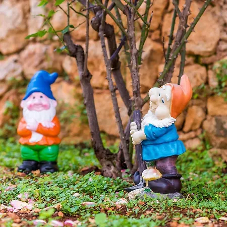 Apartment Miracle - With Terrace And View