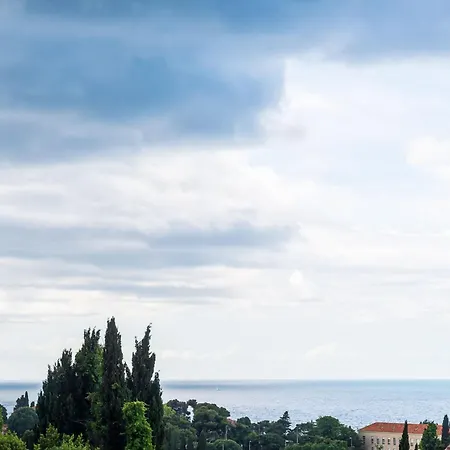 Apartment Miracle - With Terrace And View *