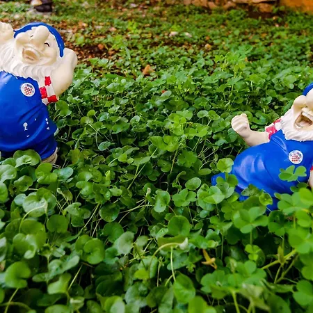 Miracle - With Terrace And View *